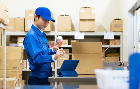Professional Packing Services